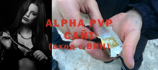 молекула духа Нягань