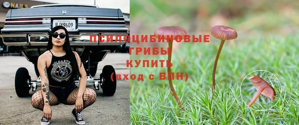 скорость Няндома