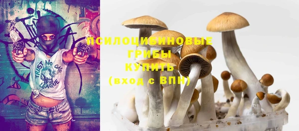 молекула духа Нягань