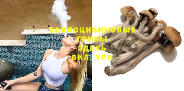 молекула духа Нягань
